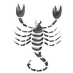 October 31th zodiac sign Scorpio