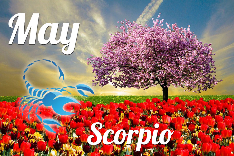 Horoscope Scorpio 2024 monthly horoscope for year 2024