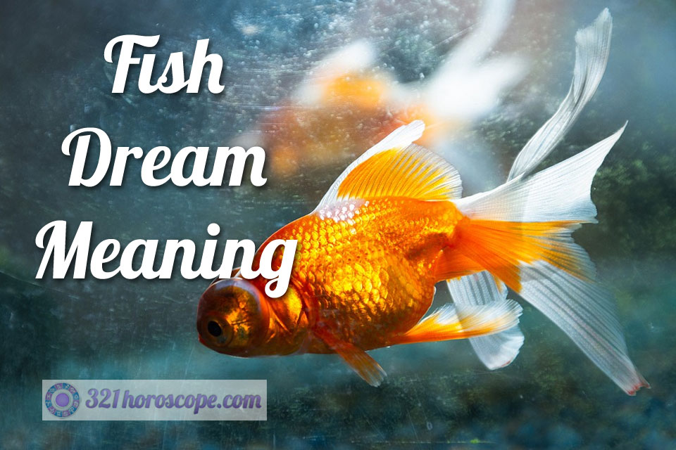 Fish Dream Meaning What Does Dreaming About Fish Mean?